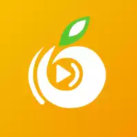 橘子tv直播app