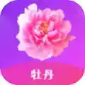 牡丹直播平台app
