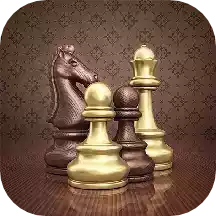 国际象棋双人版中文版
